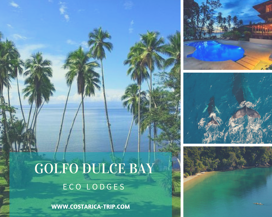 Eco Lodges in the Golfo Dulce Bay