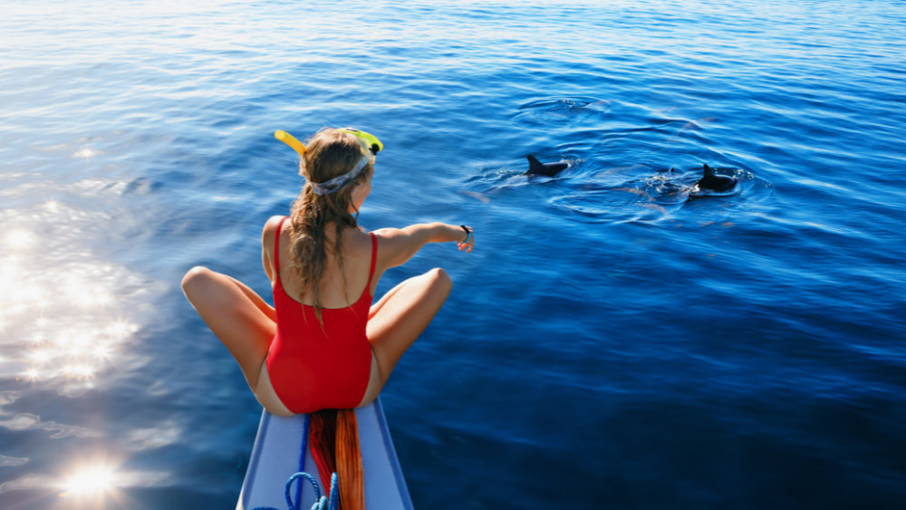 Costa Rica Wildlife Calendar - Dolphins