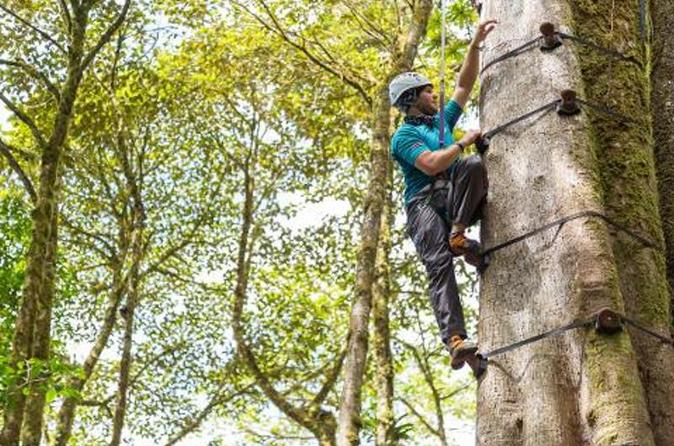 Best Adventure and extreme tours tree Climbing in Costa Rica