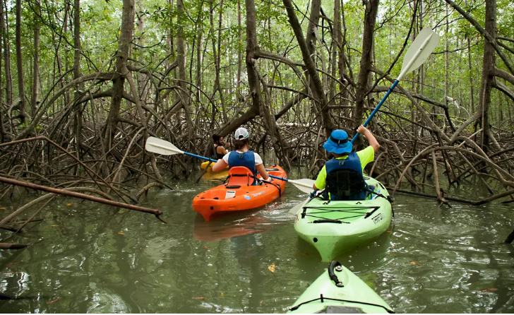 Manuel Antonio Tours