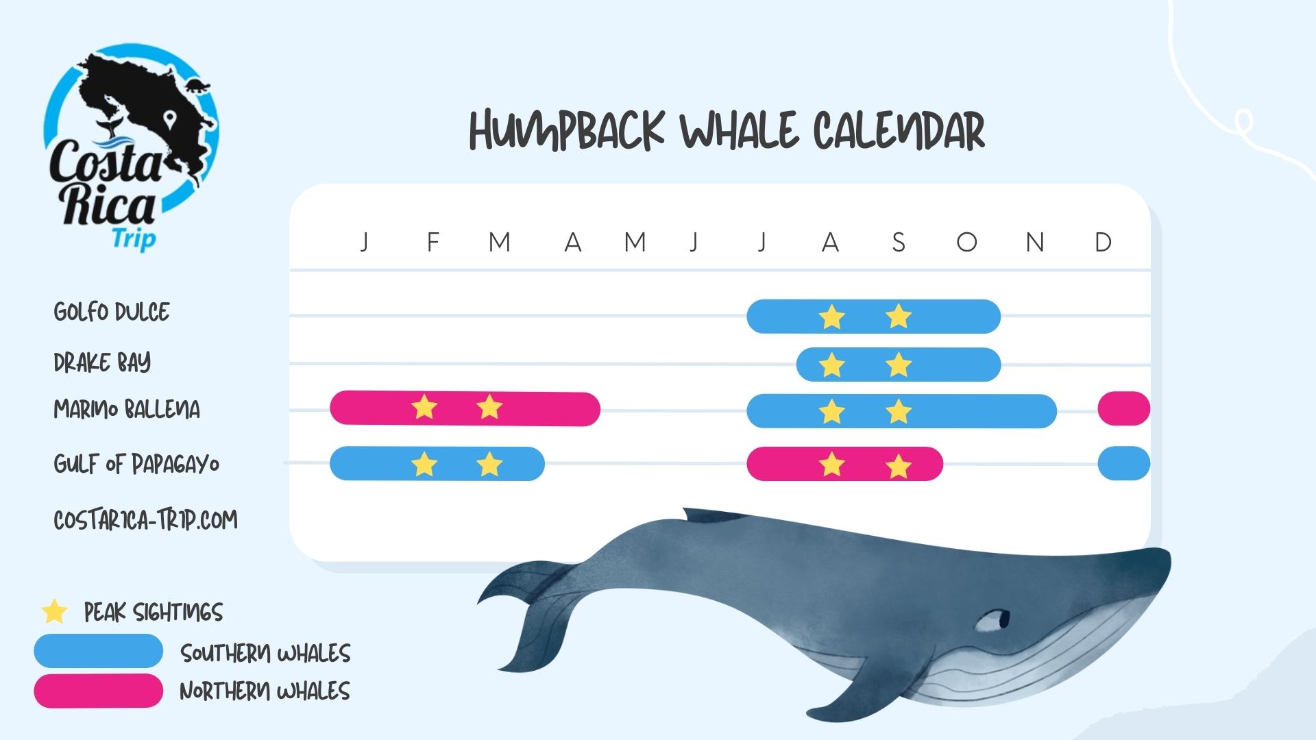 Costa Rica Humpback Whales Calendar