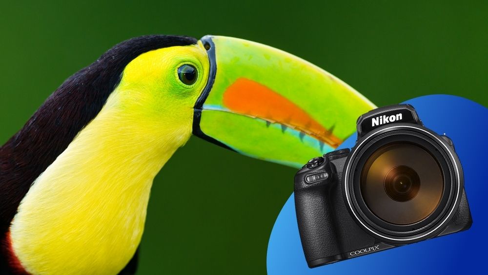 Nikon Coolpix Birding Camera