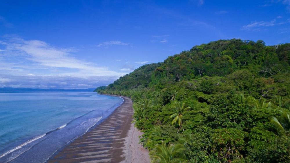 Eco-lodges in the Golfo Dulce Bay