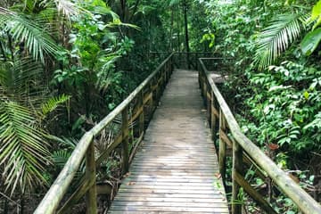 Manuel Antonio National Park info, opening hours and tickets