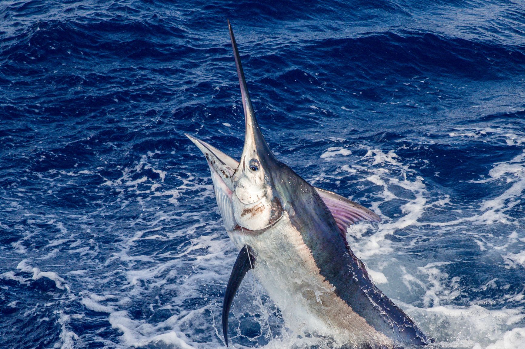 Fishing in Costa Rica