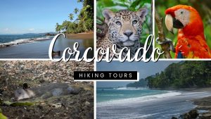 Corcovado National Park Tours